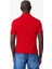 Erkek Polo Yaka T-Shirt 2