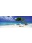 Puzzle 1000 Parça Divi Divi Tree HEY29399 2