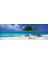 Puzzle 1000 Parça Divi Divi Tree HEY29399 3