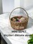Mini Hasır Sepet 14X12X8 Mutfak Banyo Salon Çok Amaçlı Dekoratif Sepet(Ölçüleri Dikkate Alınız) 1