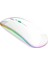 Kablosuz Fare Wireless Mouse 4 Tuşlu Renk Sessiz Şarj Edilebilir Dpı Kontrol 1