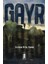 Gayr 1