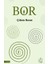 Bor 1