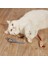 Peluş Fare Kedi Oyuncağı 3 Adet 1