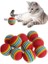 ® 3lü Gökkuşağı Sünger Kedi Köpek Çiğneme Oyun Topu 4,2 cm ( Lisinya ) 2