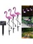 3 Adet / Takım Flamingo Figür LED Güneş Işıkları - Pembe (Yurt Dışından) 1