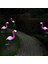 3 Adet / Takım Flamingo Figür LED Güneş Işıkları - Pembe (Yurt Dışından) 2