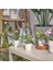 Fejkasaksılı Yapay Bitki, Yeşil, 6 Cm, Monstera 1