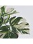 Fejkasaksılı Yapay Bitki, Yeşil, 6 Cm, Monstera 3