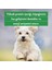 Dana Gırtlak Çiğnemelik Köpek Ödül Maması %100 Doğal, Glutensiz, Organik 100 gr 7