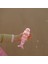 - Ocean Treasure Rose Deniz ve Havuz Dalış Oyuncakları 2