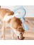 Kedi ve Köpekler Için Buharlı Masaj Tarağı 3