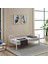 Alchera Daybed Tek Kişilik Sedir Divan Metal Karyola Beyaz 1