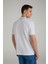 Regular Fit Polo T-Shirt 3
