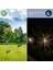 Solar LED Karahindiba Bahçe Işıkları 2'li Set - Dekoratif & Enerji Tasarruflu LED Peyzaj Aydınlatma Bahçe Işıkları 3