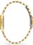 FL21599AWT-B6 Quartz Çelik Altın Rengi Yeşil Kadran 22 mm Kadın Kol Saati 2