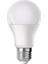 12W LED Ampul – Yüksek Işık Gücü, Düşük Enerji Tüketimi | E27 Duy, Beyaz Işık 6500K 1020LM 1
