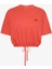 Cropped Gmd Script Open Back.sn6 1