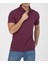 Polo Paris Regular Fit Mürdüm 3