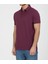 Polo Paris Regular Fit Mürdüm 4