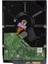 Dıgıtal Purple WD10PURZ 1 Tb Sata 6gb/s 7/24 Güvenlik Harddısk 2