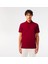 Polo Paris Bordo Regular Fit 5