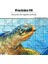 631 Parçalı Puzzle Krypt Gradyen, Yapboz 2