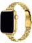 Apple Watch Se / Se 2 44MM ile Uyumlu Ince Rolex Tasarım Metal Kordon Kayış - FC1061 1