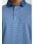 Polo Mavi Çizgili Regular Fit 1