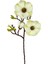 Yapay Çiçek Krem Eva Manolya 2 Çiçek 1 Tomurcuk Uzun Dal Çiçek Flowers 55CM Gerçeksi Doku 1