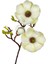 Yapay Çiçek Krem Eva Manolya 2 Çiçek 1 Tomurcuk Uzun Dal Çiçek Flowers 55CM Gerçeksi Doku 2