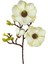 Yapay Çiçek Krem Eva Manolya 2 Çiçek 1 Tomurcuk Uzun Dal Çiçek Flowers 55CM Gerçeksi Doku 3