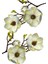 Yapay Çiçek Krem Eva Manolya 2 Çiçek 1 Tomurcuk Uzun Dal Çiçek Flowers 55CM Gerçeksi Doku 4