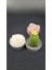 3'lü Tealight Minik Mum Metal Altlıklı Çiçek Kaktüs Aksesuar Ev Dekorasyon 1
