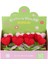 Fl-7 12Lİ Kroşe Örgü Saksıda Kalp -Birliktoys 2