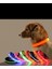 Reflektörlü Köpek S Tasması 1