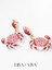 - Crab Kadın Küpe 3
