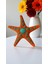 Deniz Yıldızı Dekoratif Obje – El Yapımı Figür (13 x 13 Cm) 1