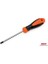 RPT0T10 Torx Tornavida T10 1
