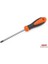 RPY5200 Tornavida 1.0X200 Yıldız 1