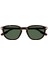 MB0276S 002 Havana 52 2