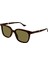 Guccı GG1493S 002 Havana 54 1