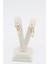 Stil Incisi/xupıng Jewelry Bergama Küpe 3