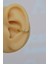 Gold Taşlı Kelebekli Helix Piercing Halka Taşlı Conch Piercingi 1