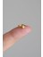 Gold Kutup Yıldızı Halka Tragus Piercing Helix Kıkırdak Küpesi 1