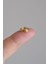 Gold Kutup Yıldızı Halka Tragus Piercing Helix Kıkırdak Küpesi 4