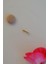Gold 2 mm Küçük Toplu Çelik Piercing Tragus Helix Kıkırdak Lob Conch Burun Minimal Ürün 3