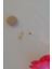 Gold 2 mm Küçük Toplu Çelik Piercing Tragus Helix Kıkırdak Lob Conch Burun Minimal Ürün 4