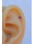 Silver Çelik Fuşya Pembesi Tektaş Yıldız Tragus Piercingi Helix Kıkırdak Lob 1