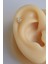 Sacce Scarves&Accessories Gold Çelik Zirkon Kelebekli Helix Piercing Kıkırdak Lob 1